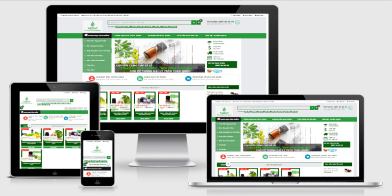 Đơn vị web43plus chuyên các dịch vụ thiết kế website tại Đà Nẵng